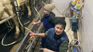 Утром всем есть работа. Ляля застоялась