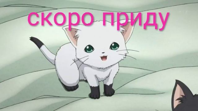 стрим по стандофф смотреть онлайн