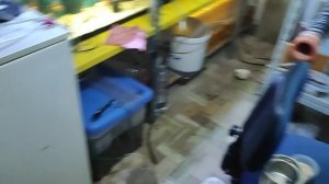 Гриндаль получение самой культуры ,и что для этого нужно.+ маленький обходик