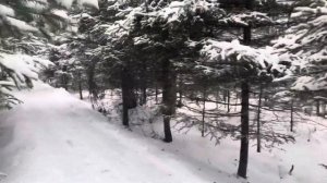 Санаторий «Санус»