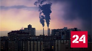 Светлана Радионова рассказала о важнейших достижениях Росприроднадзора - Россия 24