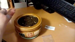 как вырастить адениум из семян в домашних условиях часть 1