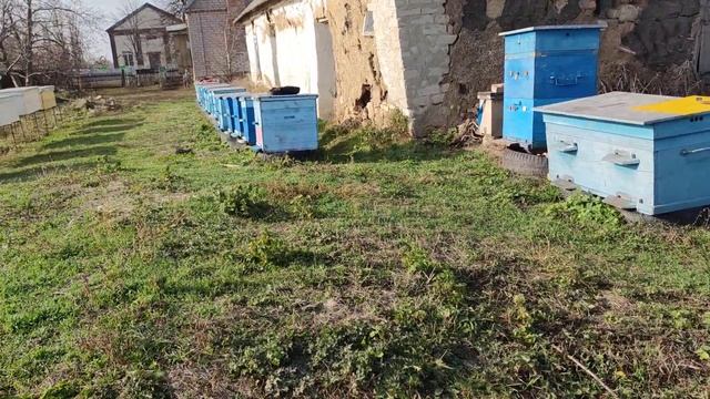 Изоляция маток в зимнее и летнее время ☝️? смотреть онлайн