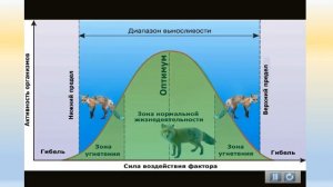 урок 2 Интенсивность действия факторов
