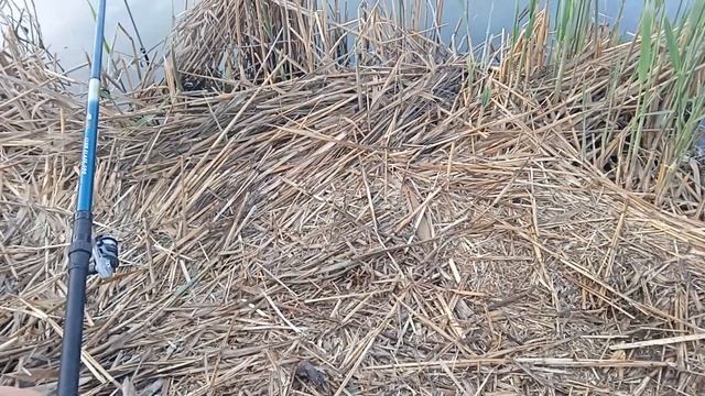 РЫБАЛКА. ГРИБАЛКА. ПОЖАР. ПРУД. смотреть онлайн