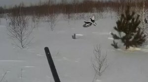 ОХОТА НА ТЕТЕРЕВА С ЛУНОК * ВЗЛЕТЕЛИ РАЗОМ