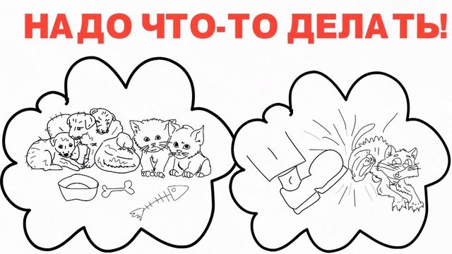 Стерилизация бездомных животных, фонд РЭЙ