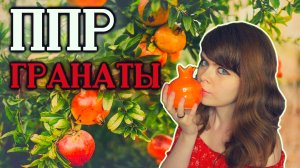 Пионерлагерь Пыльная Радуга - Гранаты cover