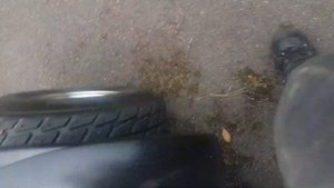 PGO Bugrider 250E quadzilla