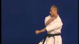 Pinan Shodan _ Kata & Bunkai _ Shito Ryu karate do - Hidetoshi Nakahashi