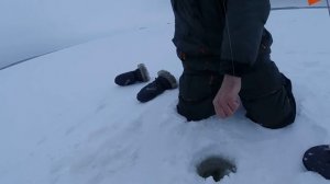 Рыбалка 2022. Щука на жерлицы. Рыбинское водохранилище #Рыбинка