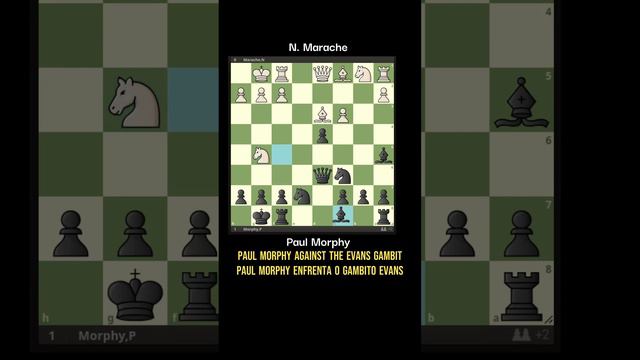 Paul Morphy against Evans Gambit Morphy joga contra o Gambito Evans #chess #catur #ajedrez #echecs