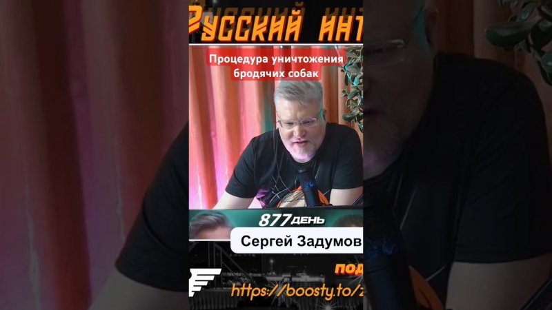 Как будут уничтожать бродячих собак? Процедура.