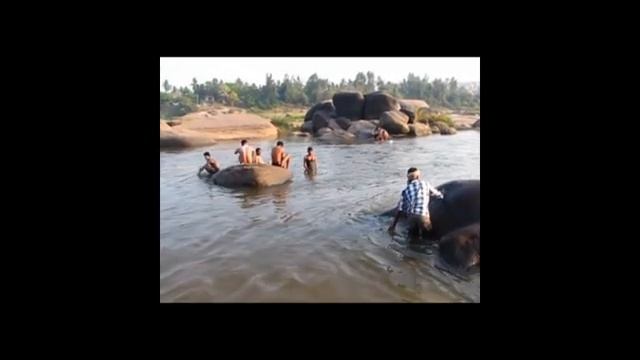 Как помыть слона. Инструкция. смотреть онлайн