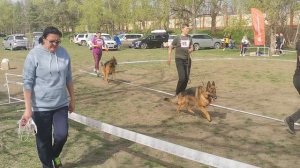 Рабочие кобели 1