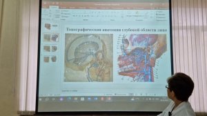 Топографическая анатомия глубокой области лица