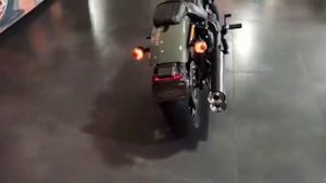 Harley-Davidson Street Bob 114 - 2021 Deadwood Green