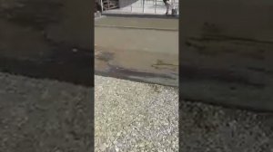 Укладка тротуарной плитки Краснодарский край