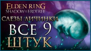 Как найти все Слезы Личинки в Elden Ring DLC Shadow of the Ertdtree