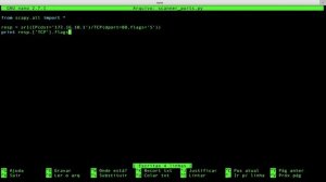 Pythonicos - Aula 39 - Scripts com Scapy