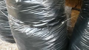 Силосование сочной травы в мешках