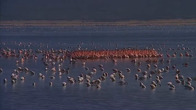 Ежедневник НикА за 25 июля смотреть онлайн