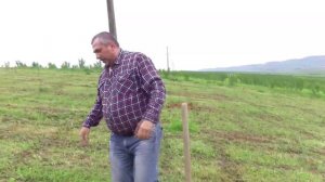 Пересадка и осмотр корневой фундука