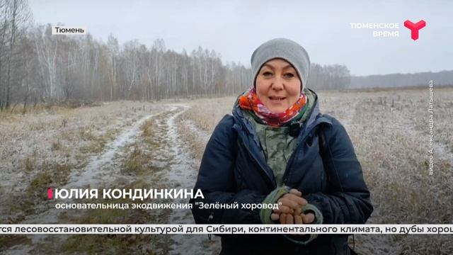 Тюменские волонтёры высадили в лесу 150 кг желудей смотреть онлайн