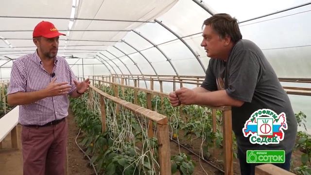 ВЫРАЩИВАНИЕ ПЕРЦА СЛАДКОГО, часть 1 смотреть онлайн