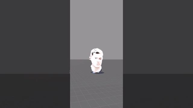 Huawei Mate 20 Pro 3D scan Model LOL a scan of my Head