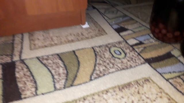 Как избавиться от клопов За 02 Минуты! смотреть онлайн