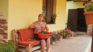 СРОЧНО: если огурец горчит, кривой или пустой внутри