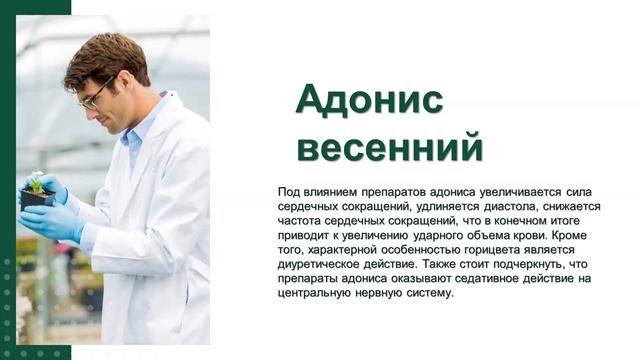 23. ФИТОТЕРАПИЯ ИЗ РАСТИТЕЛЬНОГО СЫРЬЯ, ПРОИЗРАСТАЮЩЕГО В ОРЕНБУРГСКОЙ ОБЛАСТИ