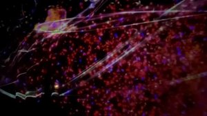 #teamLabBorderless: Животные цветов, рожденных в цветочном лесу. Симбиотические существа.