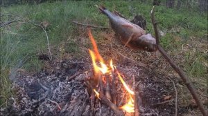 Жареный окунь на костре