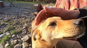 Газ 3308 #162 10.10.2019 Мрассу