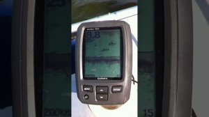 Эхолот garmin Echo 151