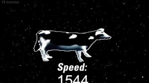 Танцующия польская корова танцуют со скоростью света