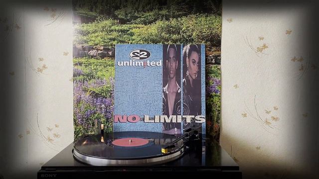 Vinyl. 2 Unlimited