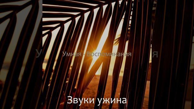 Повседневная - Моменты
