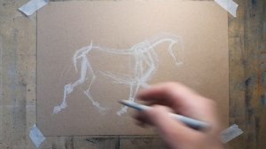 Построение лошади в рисунке