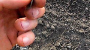 Как я куфические дирхемы копал!