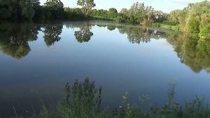 Продается дом в Белгородской области