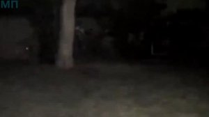 7 РЕАЛЬНЫХ ЗОМБИ СНЯТЫХ НА КАМЕРУ