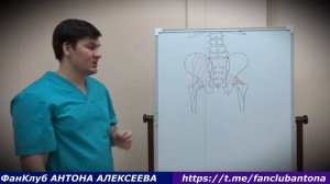 Что происходит когда слабеет ягодичная мышца, седалищный нерв