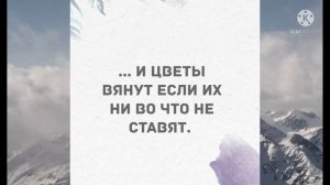 - Ну, я бы вам не дала! Лучшие смешные анекдоты!