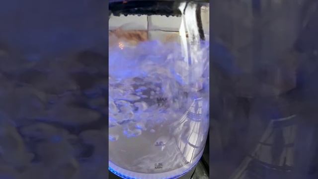 Макароны с запечеными куриными ножками. смотреть онлайн