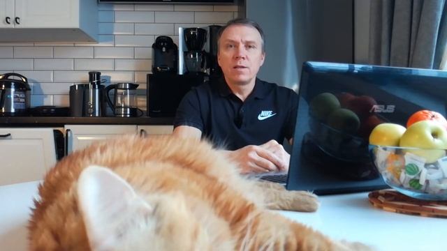 Знакомство. Канал о даче, о стройке своими руками, о жизни после переезда в Питер