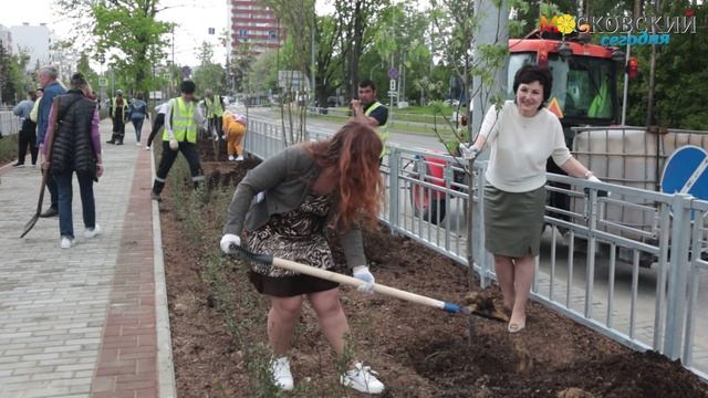 Новости город московский сегодня