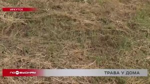 Скошенную траву не убирают с газонов в Иркутске